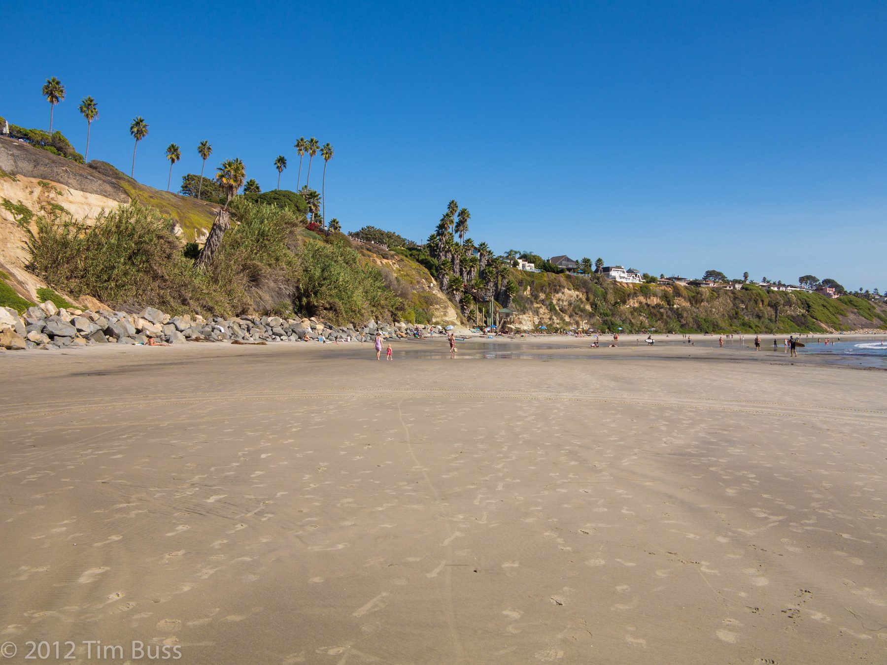 Swami's Beach, Encinitas — palm-topped bluffs meeting the Pacific